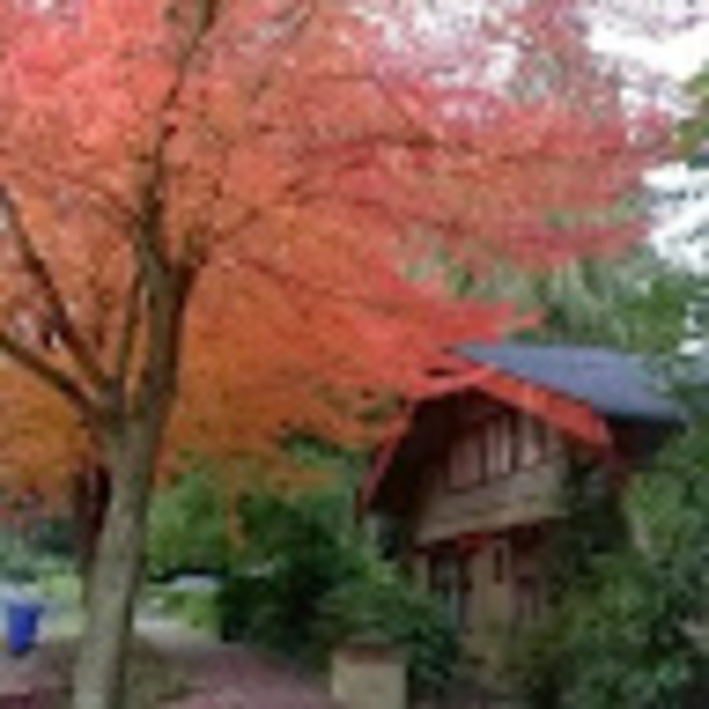 Meet your Posher, Korina